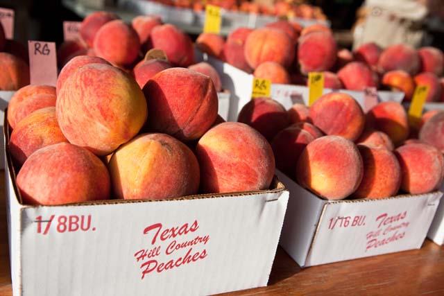 Fredericksburg, Texas